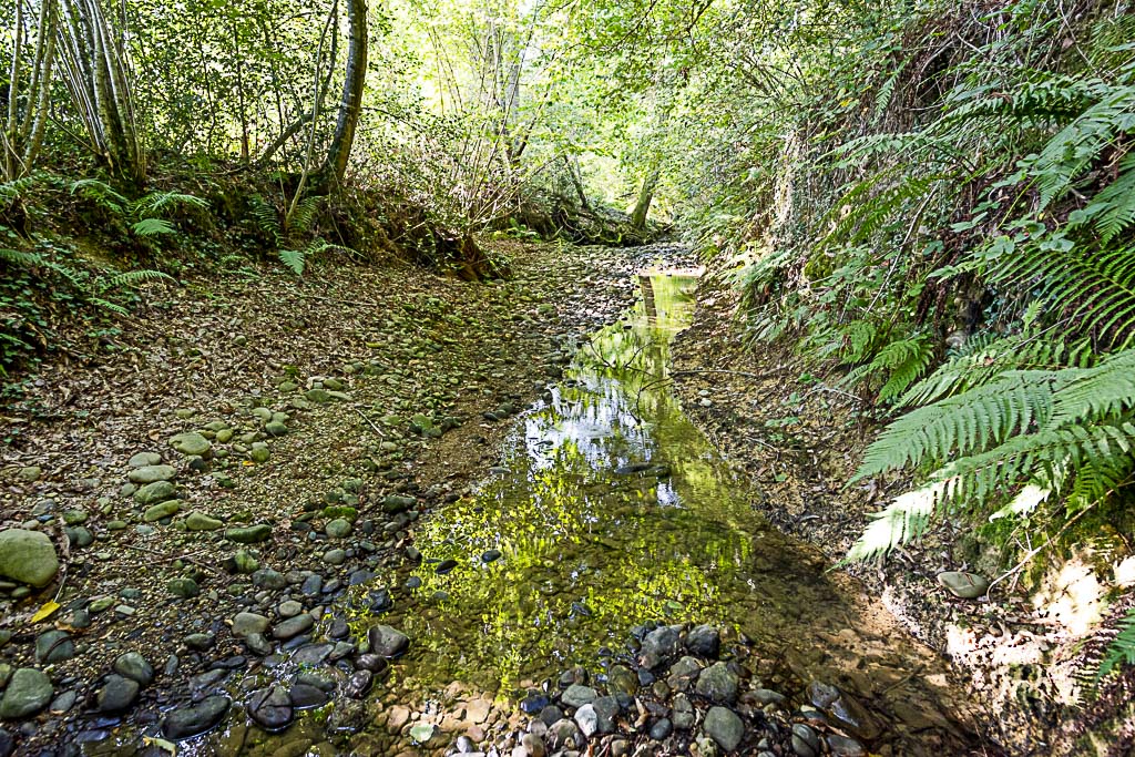 Ruisseau nettoyé après pollution bâches d'ensilage