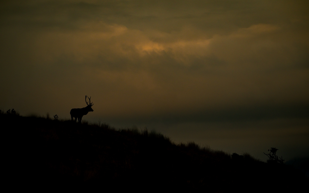 frissons de brame 34