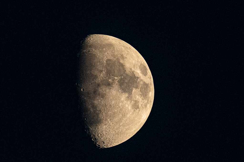 frissons de brame 38