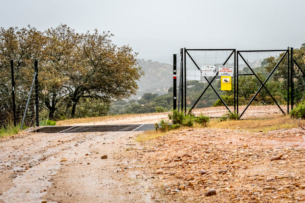 sendero del rumblar 01