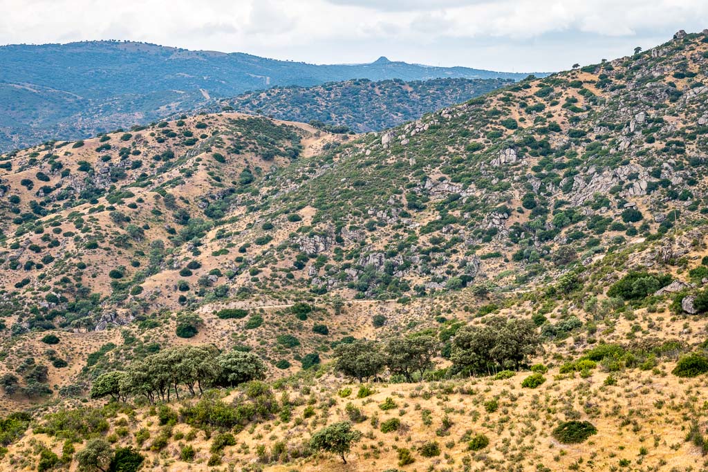 sierra andujar lynx pardelle 10