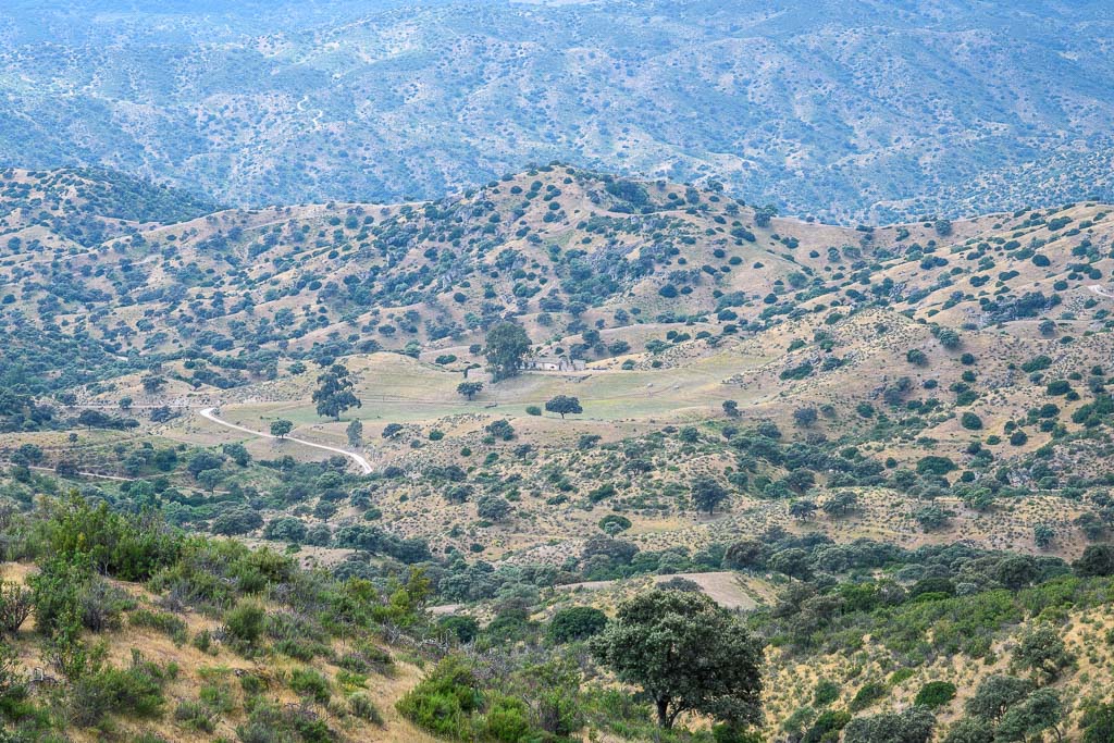 sierra andujar lynx pardelle 11