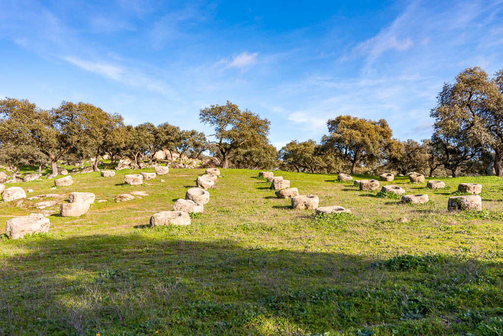 sierra andujar lynx pardelle 116