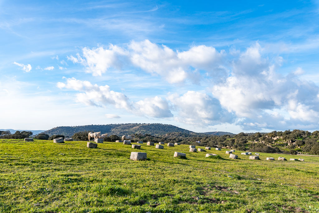 sierra andujar lynx pardelle 120