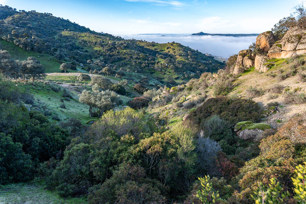 sierra andujar lynx pardelle 126