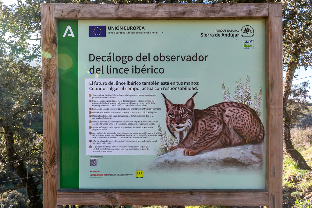 sierra andujar lynx pardelle 127