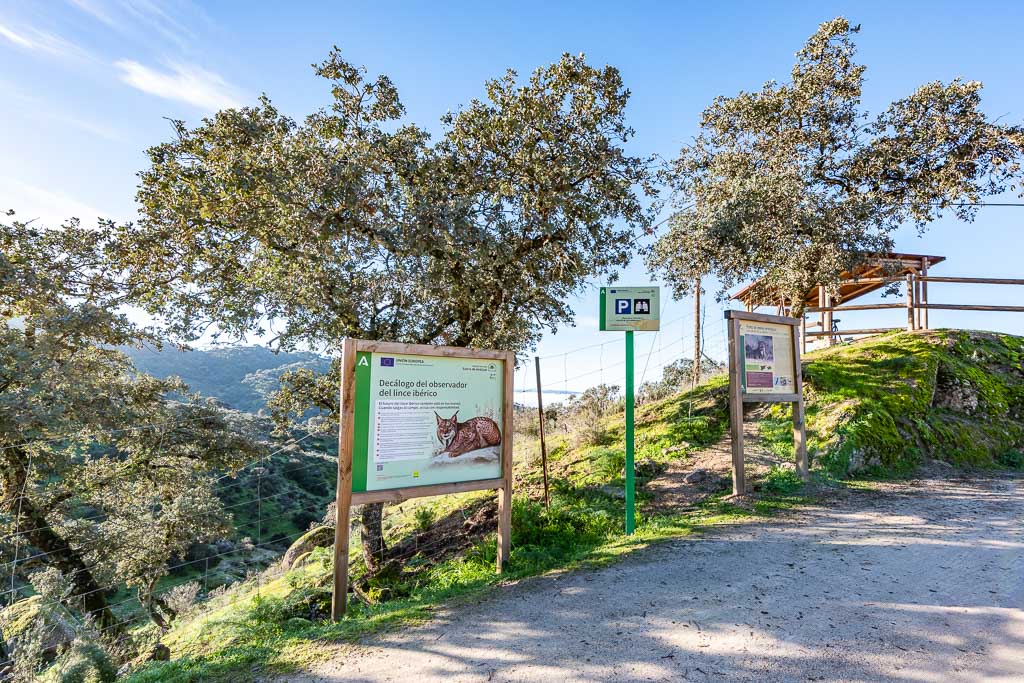 sierra andujar lynx pardelle 129