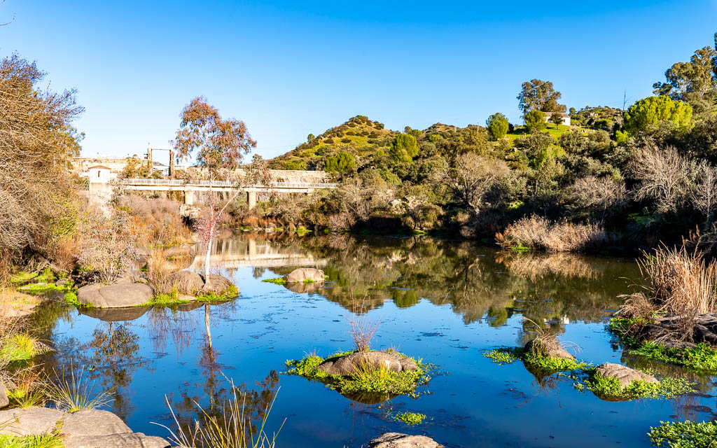 sierra andujar lynx pardelle 135
