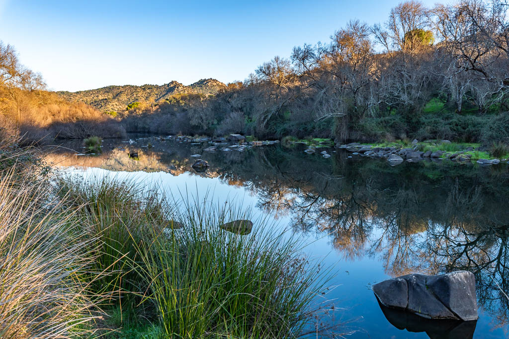 sierra andujar lynx pardelle 136