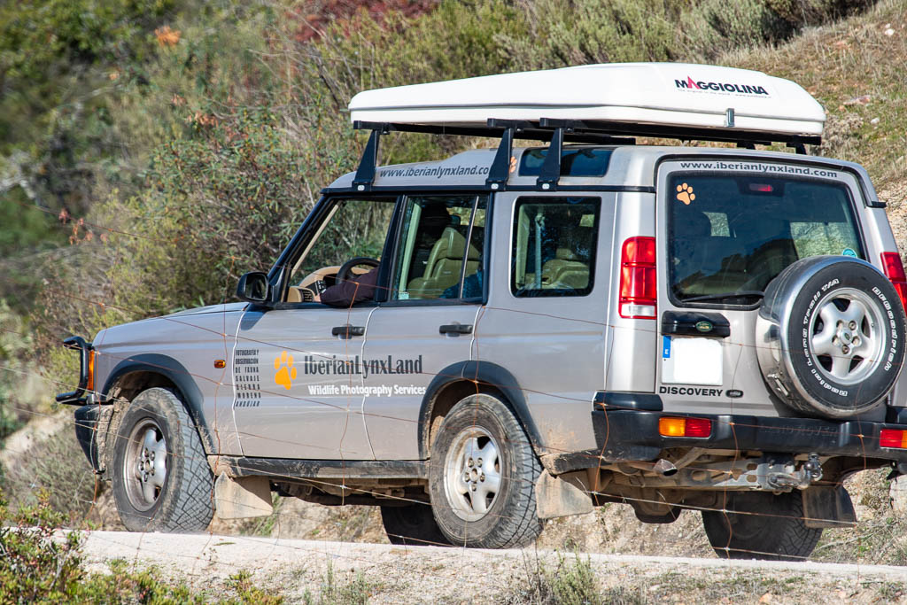 sierra andujar lynx pardelle 148