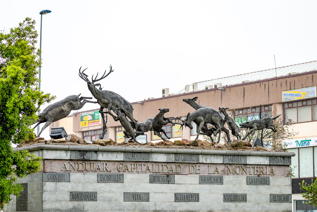 sierra andujar lynx pardelle 20