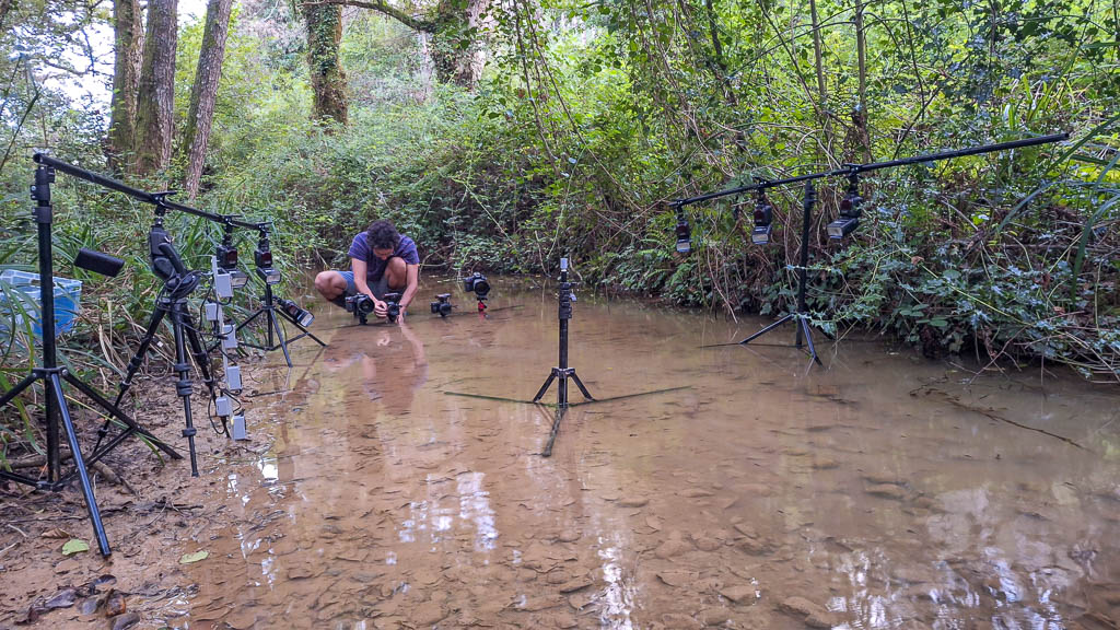 Installation pour la photographie de chauves-souris en vol