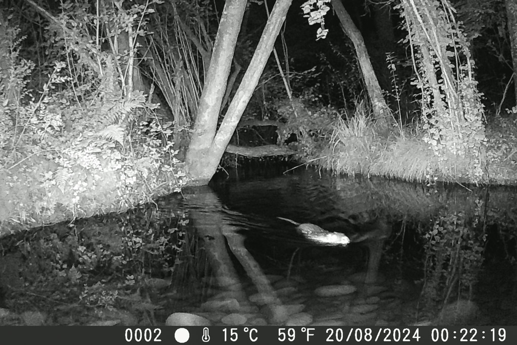 photo timelapse camera chasse 03