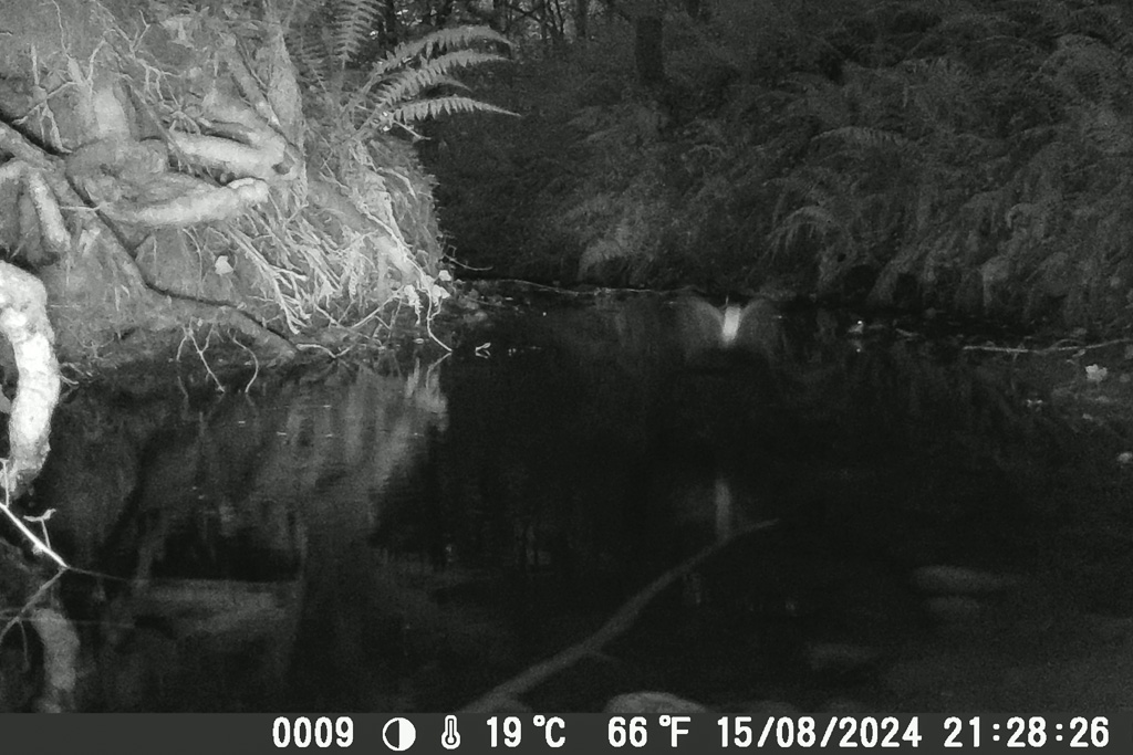 photo timelapse camera chasse 04