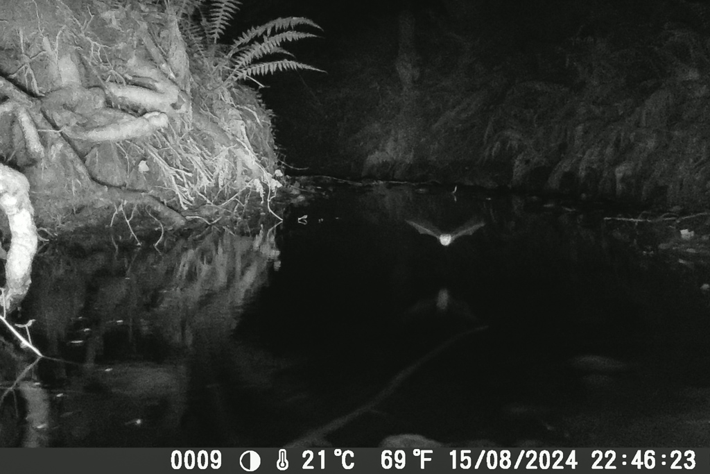 photo timelapse camera chasse 05