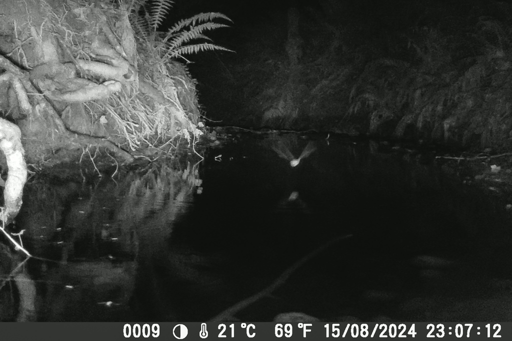 photo timelapse camera chasse 06