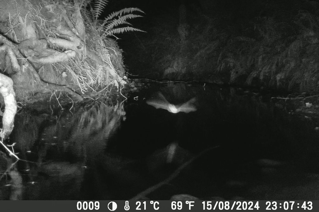 photo timelapse camera chasse 07