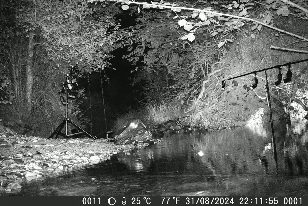photo timelapse camera chasse 11