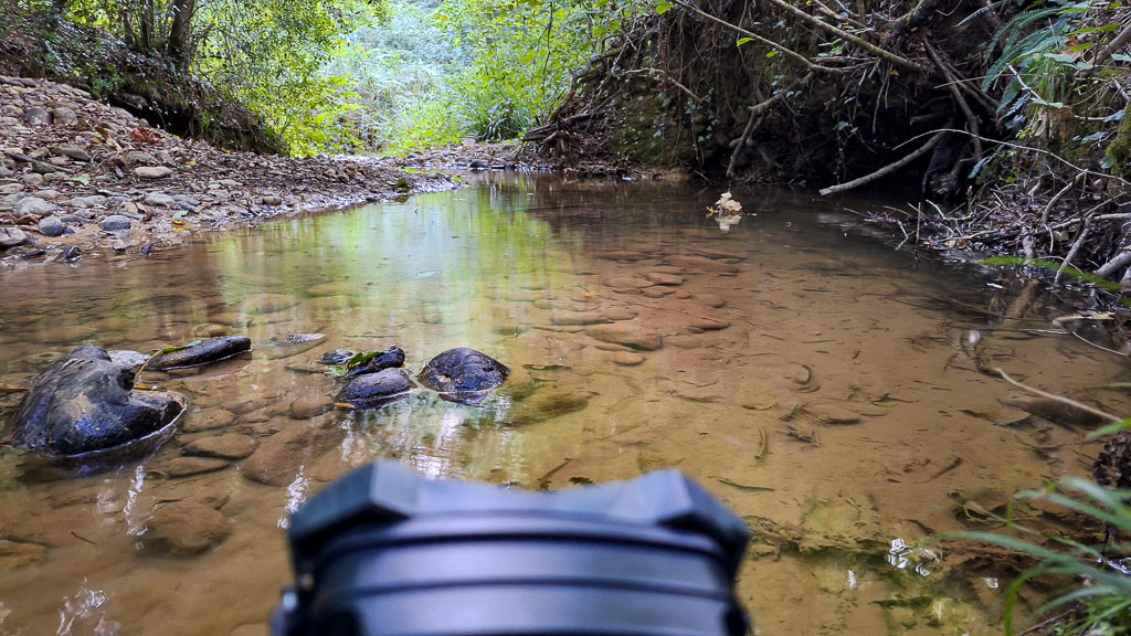 Ruisseau abreuvoir pour chauves-souris en vol
